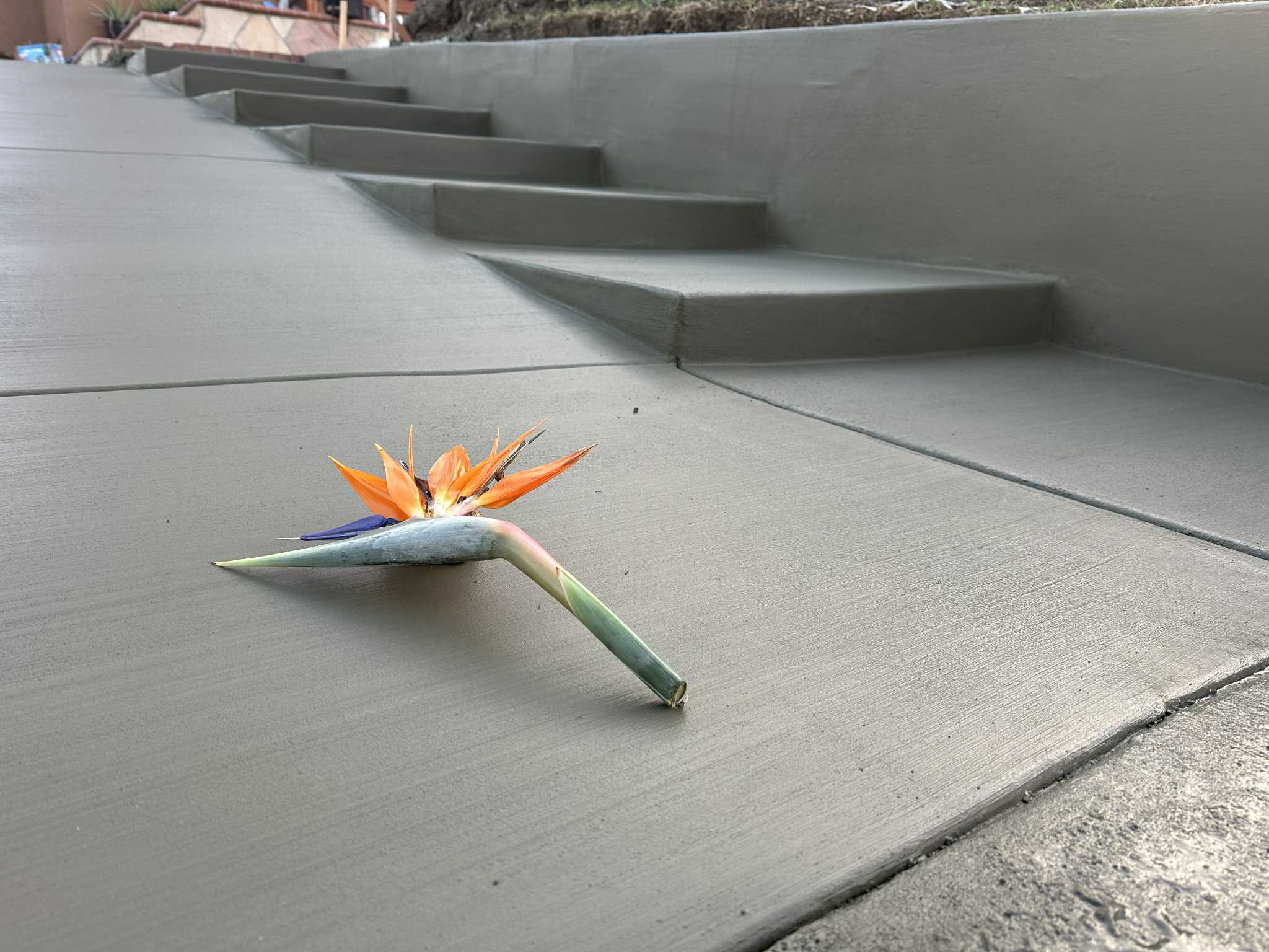 Close-up of new concrete steps and driveway finish